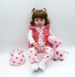 Photo3: 48cm Reborn Baby Doll Toy Realistic Baby Doll With Giraffe Toddler Adorable Dolls with pink dress (3)